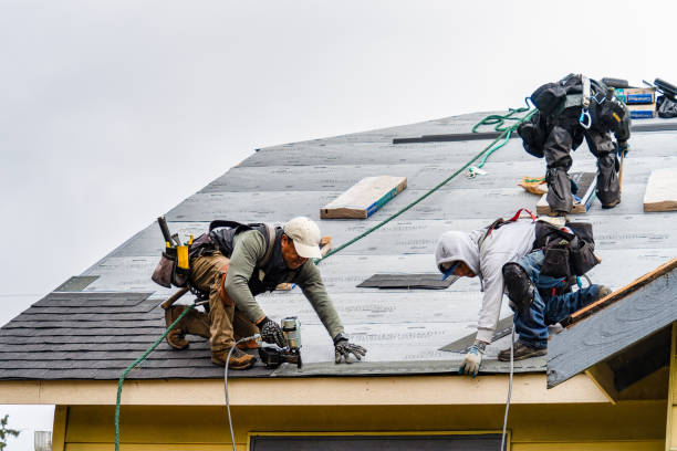 Professional Gutter Installation technician working in Andalusia, IL